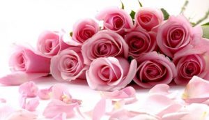May flower – cửa hàng hoa tươi – đặt hoa online hà nội